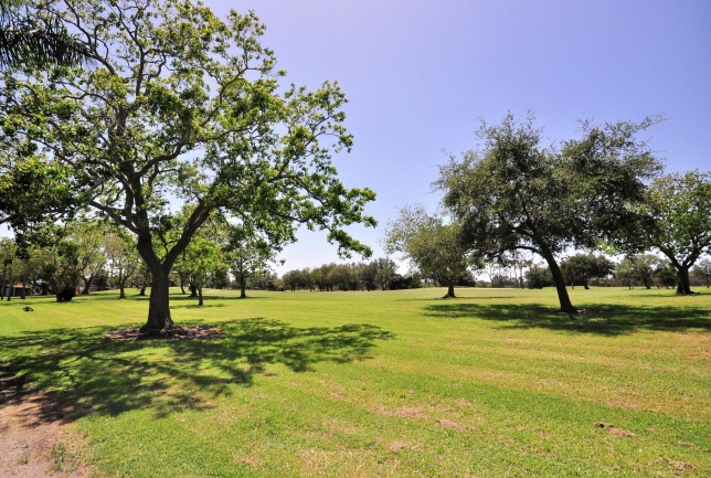 Mangrove Bay Golf Course St Petersburg Florida
