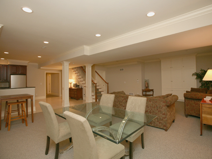 Lower Level Family Room
