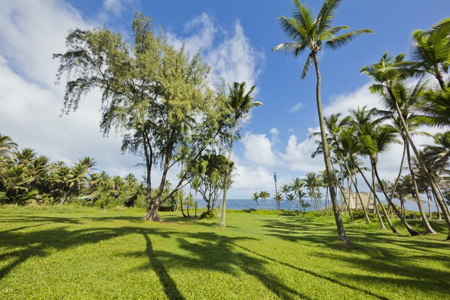 Live near Kahakai Park