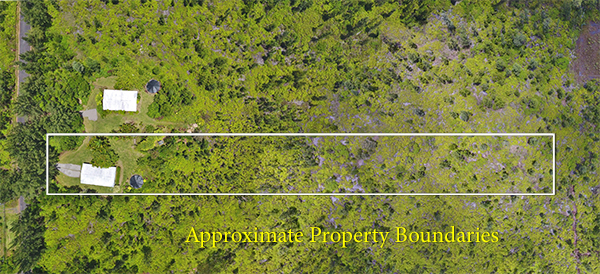 Home on 2 acres of land