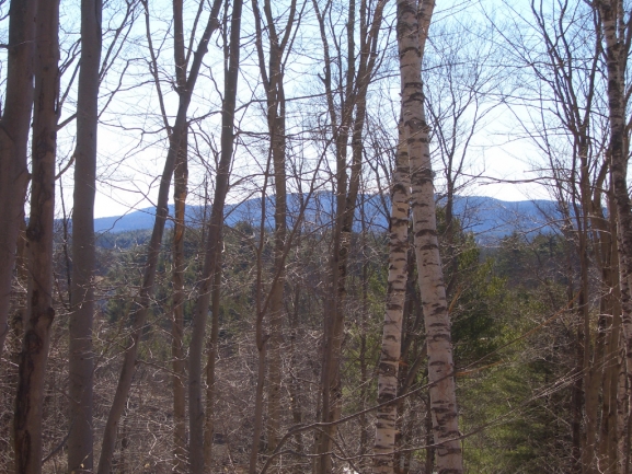 View3