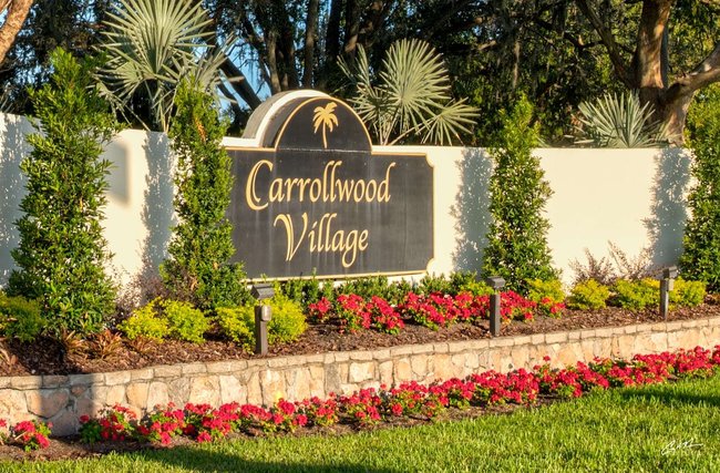 Carrollwood Village Main Entrance